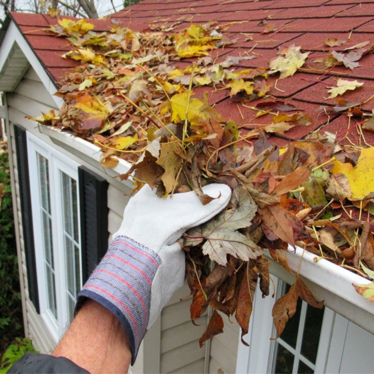 Gutter Cleaning