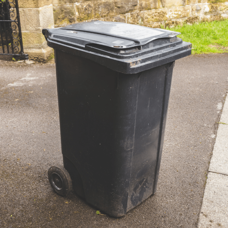 Garbage Bin Cleaning